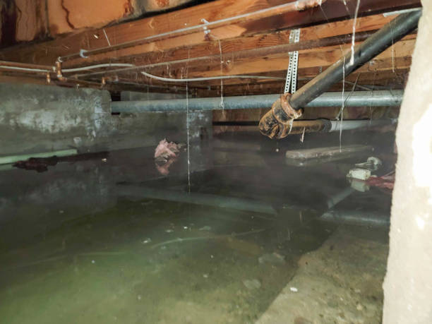 Water damage restoration mold remediation in Smyrna, DE