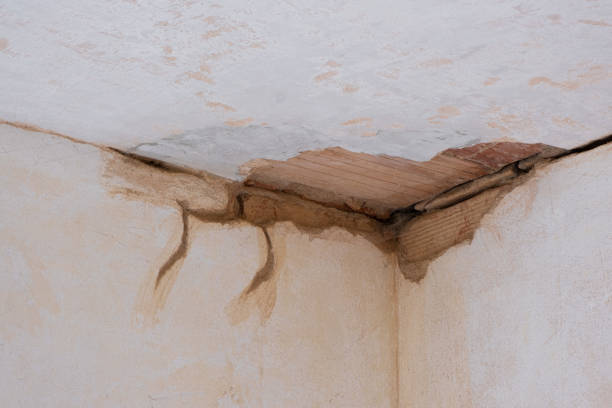 Sewage cleanup and water damage restoration in Smyrna, DE