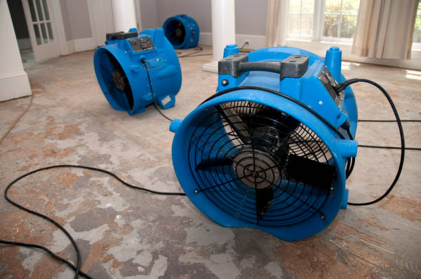 Best Water damage restoration experts  in Smyrna, DE