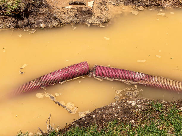 Best Water damage contractors near me  in Smyrna, DE